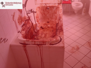 Tatortreinigung Bremen Mitte, Tatortreinigung Bremen Östliche Vorstadt, Tatortreinigung Bremen Findorff, Tatortreinigung Bremen Gröpelingen, Tatortreinigung Bremen Vahr, Tatortreinigung Bremen Woltmershausen, Tatortreinigung Bremen Strom, Tatortreinigung Bremen Schwachhausen, Tatortreinigung Bremen Seehausen, Tatortreinigung Bremen Woltmershausen, Tatortreinigung Bremen Walle, Tatortreinigung Bremen Osterholz, Tatortreinigung Bremen Huchting, Tatortreinigung Bremen Obervieland, Tatortreinigung Bremen Horn-Lehe, Tatortreinigung Bremen Neustadt, Tatortreinigung Bremen Borgfeld, Tatortreinigung Bremen Oberneuland, Tatortreinigung Bremen Blumenthal, Tatortreinigung Bremen Häfen, Tatortreinigung Bremen Burglesum, Tatortreinigung Bremen Hemelingen, Tatortreinigung Bremen Blockland, Tatortreinigung Bremen Nord, Tatortreiniger Bremen Mitte, Tatortreiniger Bremen Östliche Vorstadt, Tatortreiniger Bremen Findorff, Tatortreiniger Bremen Gröpelingen, Tatortreiniger Bremen Vahr, Tatortreiniger Bremen Woltmershausen, Tatortreiniger Bremen Strom, Tatortreiniger Bremen Schwachhausen, Tatortreiniger Bremen Seehausen, Tatortreiniger Bremen Woltmershausen, Tatortreiniger Bremen Walle, Tatortreiniger Bremen Osterholz, Tatortreiniger Bremen Huchting, Tatortreiniger Bremen Obervieland, Tatortreiniger Bremen Horn-Lehe, Tatortreiniger Bremen Neustadt, Tatortreiniger Bremen Borgfeld, Tatortreiniger Bremen Oberneuland, Tatortreiniger Bremen Blumenthal, Tatortreiniger Bremen Häfen, Tatortreiniger Bremen Burglesum, Tatortreiniger Bremen Hemelingen, Tatortreiniger Bremen Blockland, Tatortreiniger Bremen Nord, Schädlingsbekämpfung Bremen Mitte, Schädlingsbekämpfung Bremen Östliche Vorstadt, Schädlingsbekämpfung Bremen Findorff, Schädlingsbekämpfung Bremen Gröpelingen, Schädlingsbekämpfung Bremen Vahr, Schädlingsbekämpfung Bremen Woltmershausen, Schädlingsbekämpfung Bremen Strom, Schädlingsbekämpfung Bremen Schwachhausen, Schädlingsbekämpfung Bremen Seehausen, Schädlingsbekämpfung Bremen Woltmershausen, Schädlingsbekämpfung Bremen Walle, Schädlingsbekämpfung Bremen Osterholz, Schädlingsbekämpfung Bremen Huchting, Schädlingsbekämpfung Bremen Obervieland, Schädlingsbekämpfung Bremen Horn-Lehe, Schädlingsbekämpfung Bremen Neustadt, Schädlingsbekämpfung Bremen Borgfeld, Schädlingsbekämpfung Bremen Oberneuland, Schädlingsbekämpfung Bremen Blumenthal, Schädlingsbekämpfung Bremen Häfen, Schädlingsbekämpfung Bremen Burglesum, Schädlingsbekämpfung Bremen Hemelingen, Schädlingsbekämpfung Bremen Blockland, Schädlingsbekämpfung Bremen Nord, Tatortreinigung, Tatortreiniger, Schädlingsbekämpfung, Kammerjäger, Kammerjäger Bremen Mitte, Kammerjäger Bremen Östliche Vorstadt, Kammerjäger Bremen Findorff, Kammerjäger Bremen Gröpelingen, Kammerjäger Bremen Vahr, Kammerjäger Bremen Woltmershausen, Kammerjäger Bremen Strom, Kammerjäger Bremen Schwachhausen, Kammerjäger Bremen Seehausen, Kammerjäger Bremen Woltmershausen, Kammerjäger Bremen Walle, Kammerjäger Bremen Osterholz, Kammerjäger Bremen Huchting, Kammerjäger Bremen Obervieland, Kammerjäger Bremen Horn-Lehe, Kammerjäger Bremen Neustadt, Kammerjäger Bremen Borgfeld, Kammerjäger Bremen Oberneuland, Kammerjäger Bremen Blumenthal, Kammerjäger Bremen Häfen, Kammerjäger Bremen Burglesum, Kammerjäger Bremen Hemelingen, Kammerjäger Bremen Blockland, Kammerjäger Bremen Nord