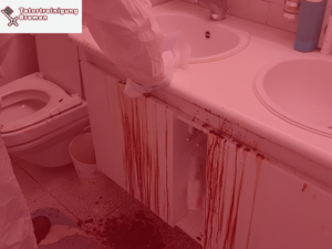 Tatortreinigung Bremen Mitte, Tatortreinigung Bremen Östliche Vorstadt, Tatortreinigung Bremen Findorff, Tatortreinigung Bremen Gröpelingen, Tatortreinigung Bremen Vahr, Tatortreinigung Bremen Woltmershausen, Tatortreinigung Bremen Strom, Tatortreinigung Bremen Schwachhausen, Tatortreinigung Bremen Seehausen, Tatortreinigung Bremen Woltmershausen, Tatortreinigung Bremen Walle, Tatortreinigung Bremen Osterholz, Tatortreinigung Bremen Huchting, Tatortreinigung Bremen Obervieland, Tatortreinigung Bremen Horn-Lehe, Tatortreinigung Bremen Neustadt, Tatortreinigung Bremen Borgfeld, Tatortreinigung Bremen Oberneuland, Tatortreinigung Bremen Blumenthal, Tatortreinigung Bremen Häfen, Tatortreinigung Bremen Burglesum, Tatortreinigung Bremen Hemelingen, Tatortreinigung Bremen Blockland, Tatortreinigung Bremen Nord, Tatortreiniger Bremen Mitte, Tatortreiniger Bremen Östliche Vorstadt, Tatortreiniger Bremen Findorff, Tatortreiniger Bremen Gröpelingen, Tatortreiniger Bremen Vahr, Tatortreiniger Bremen Woltmershausen, Tatortreiniger Bremen Strom, Tatortreiniger Bremen Schwachhausen, Tatortreiniger Bremen Seehausen, Tatortreiniger Bremen Woltmershausen, Tatortreiniger Bremen Walle, Tatortreiniger Bremen Osterholz, Tatortreiniger Bremen Huchting, Tatortreiniger Bremen Obervieland, Tatortreiniger Bremen Horn-Lehe, Tatortreiniger Bremen Neustadt, Tatortreiniger Bremen Borgfeld, Tatortreiniger Bremen Oberneuland, Tatortreiniger Bremen Blumenthal, Tatortreiniger Bremen Häfen, Tatortreiniger Bremen Burglesum, Tatortreiniger Bremen Hemelingen, Tatortreiniger Bremen Blockland, Tatortreiniger Bremen Nord, Schädlingsbekämpfung Bremen Mitte, Schädlingsbekämpfung Bremen Östliche Vorstadt, Schädlingsbekämpfung Bremen Findorff, Schädlingsbekämpfung Bremen Gröpelingen, Schädlingsbekämpfung Bremen Vahr, Schädlingsbekämpfung Bremen Woltmershausen, Schädlingsbekämpfung Bremen Strom, Schädlingsbekämpfung Bremen Schwachhausen, Schädlingsbekämpfung Bremen Seehausen, Schädlingsbekämpfung Bremen Woltmershausen, Schädlingsbekämpfung Bremen Walle, Schädlingsbekämpfung Bremen Osterholz, Schädlingsbekämpfung Bremen Huchting, Schädlingsbekämpfung Bremen Obervieland, Schädlingsbekämpfung Bremen Horn-Lehe, Schädlingsbekämpfung Bremen Neustadt, Schädlingsbekämpfung Bremen Borgfeld, Schädlingsbekämpfung Bremen Oberneuland, Schädlingsbekämpfung Bremen Blumenthal, Schädlingsbekämpfung Bremen Häfen, Schädlingsbekämpfung Bremen Burglesum, Schädlingsbekämpfung Bremen Hemelingen, Schädlingsbekämpfung Bremen Blockland, Schädlingsbekämpfung Bremen Nord, Tatortreinigung, Tatortreiniger, Schädlingsbekämpfung, Kammerjäger, Kammerjäger Bremen Mitte, Kammerjäger Bremen Östliche Vorstadt, Kammerjäger Bremen Findorff, Kammerjäger Bremen Gröpelingen, Kammerjäger Bremen Vahr, Kammerjäger Bremen Woltmershausen, Kammerjäger Bremen Strom, Kammerjäger Bremen Schwachhausen, Kammerjäger Bremen Seehausen, Kammerjäger Bremen Woltmershausen, Kammerjäger Bremen Walle, Kammerjäger Bremen Osterholz, Kammerjäger Bremen Huchting, Kammerjäger Bremen Obervieland, Kammerjäger Bremen Horn-Lehe, Kammerjäger Bremen Neustadt, Kammerjäger Bremen Borgfeld, Kammerjäger Bremen Oberneuland, Kammerjäger Bremen Blumenthal, Kammerjäger Bremen Häfen, Kammerjäger Bremen Burglesum, Kammerjäger Bremen Hemelingen, Kammerjäger Bremen Blockland, Kammerjäger Bremen Nord